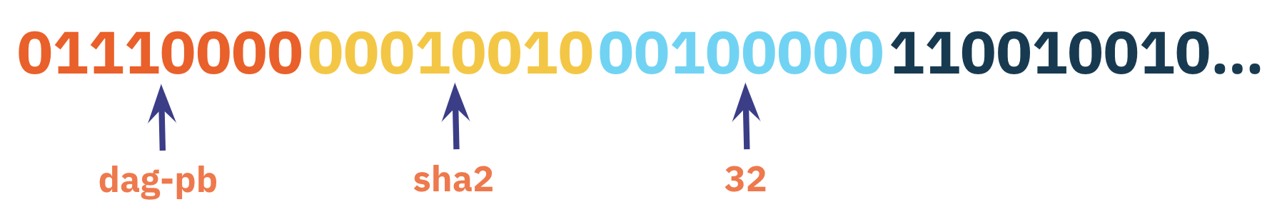 Multicodec Prefix